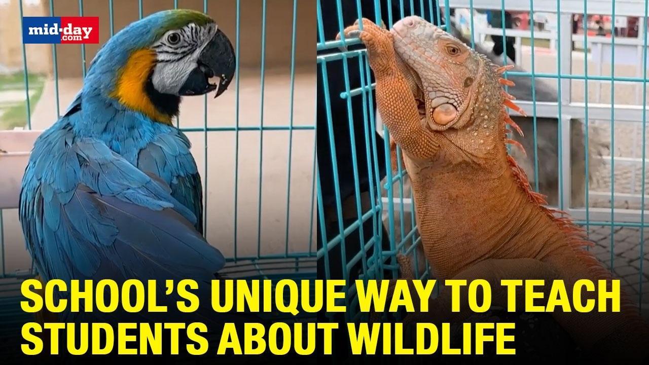 Nashik’s School’s Unique Way To Teach Students About Wildlife